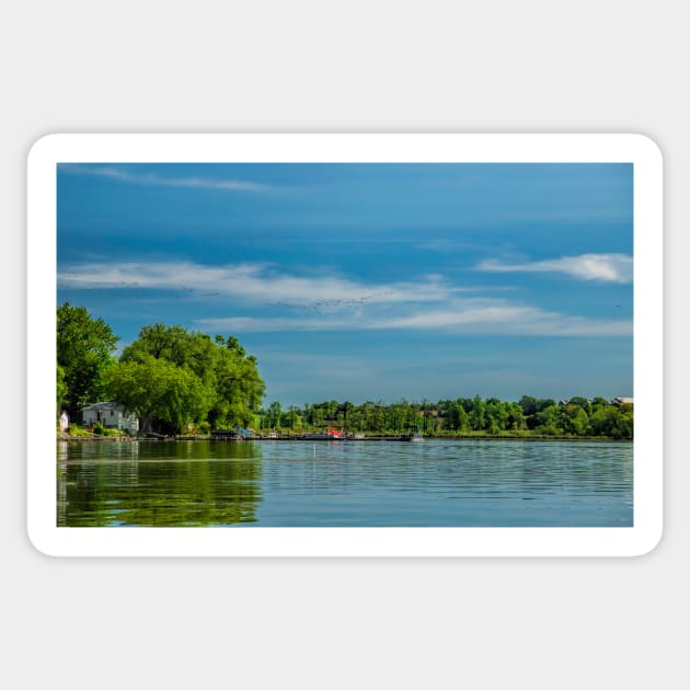 View of Rice lake and flying geese in formation Sticker by Carlosr1946